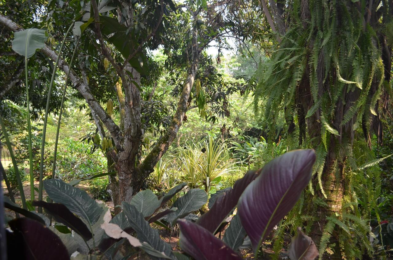 Hotel Amanwana Ecofinca Melgar Exterior foto