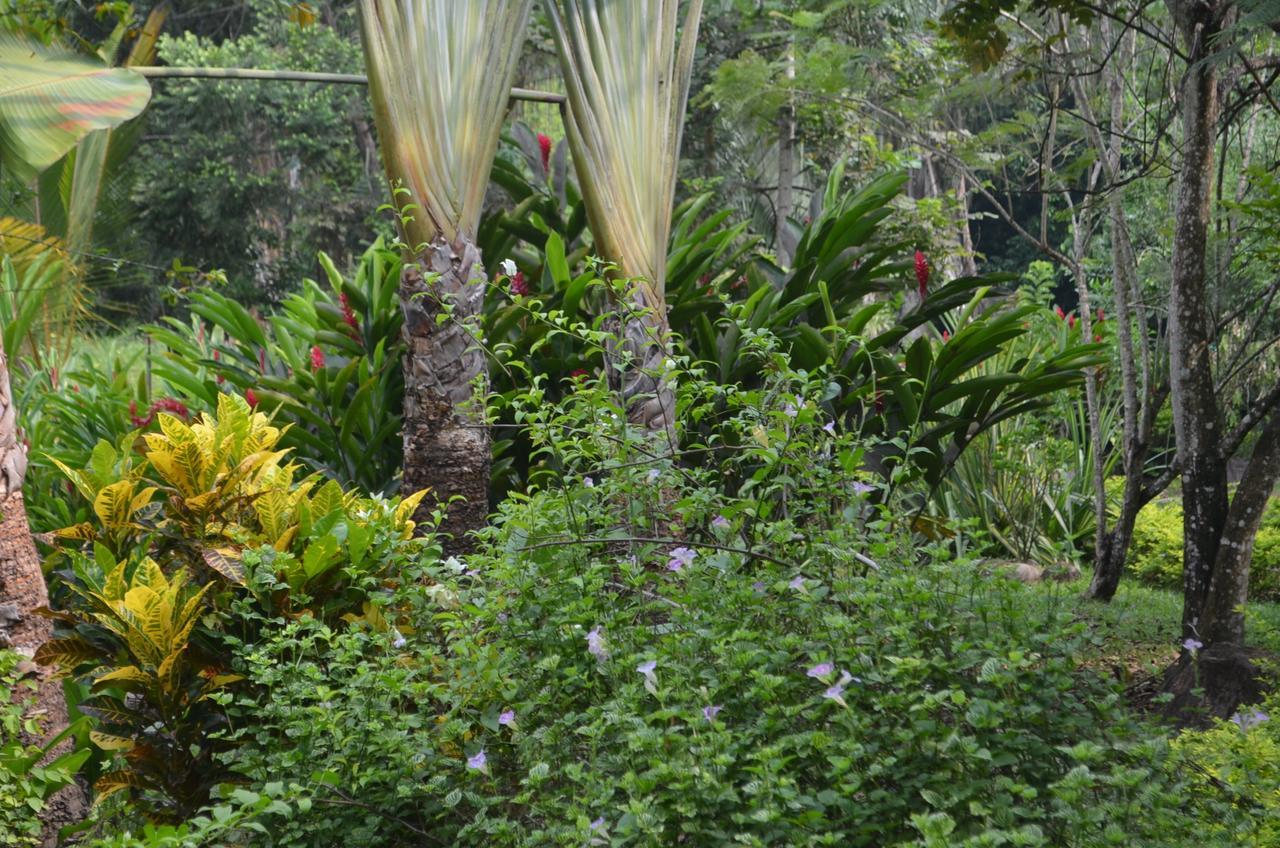 Hotel Amanwana Ecofinca Melgar Exterior foto