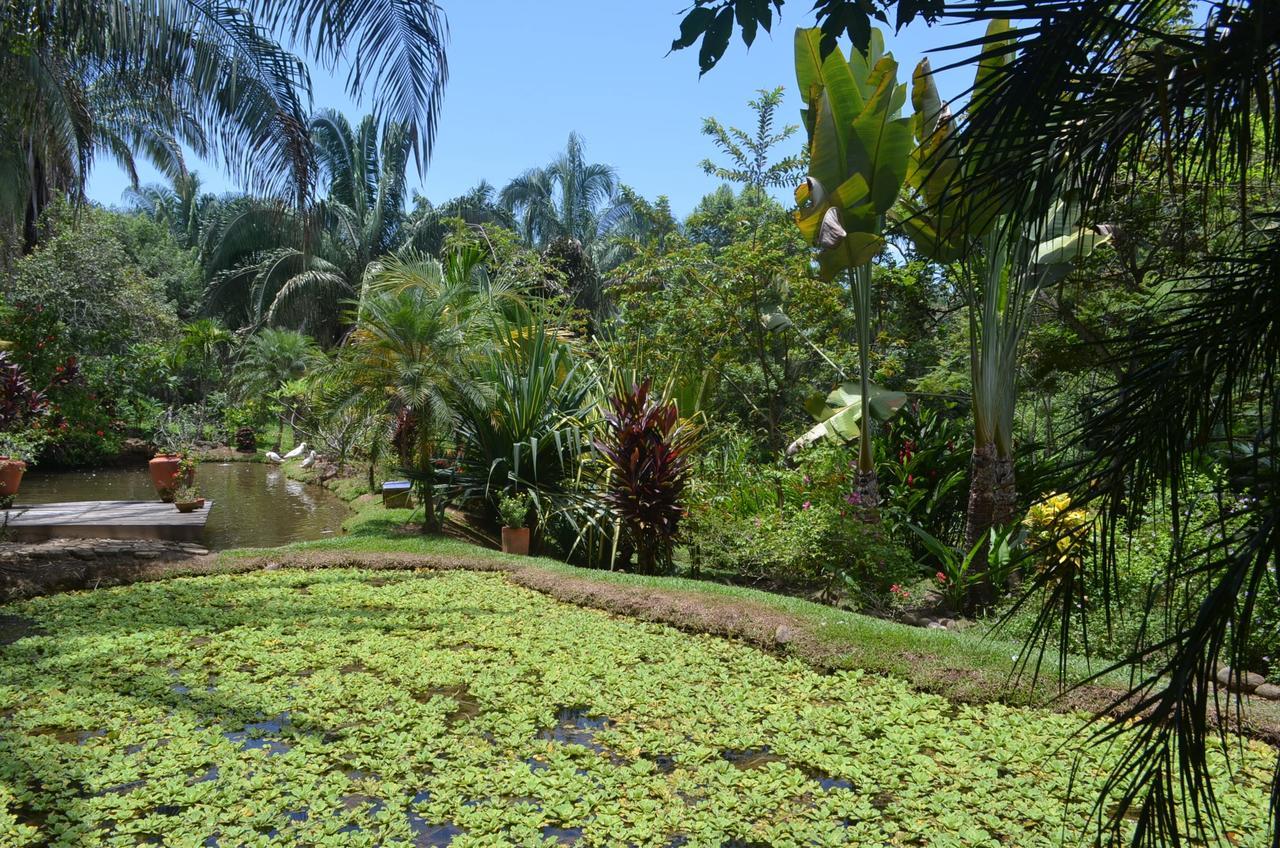 Hotel Amanwana Ecofinca Melgar Exterior foto