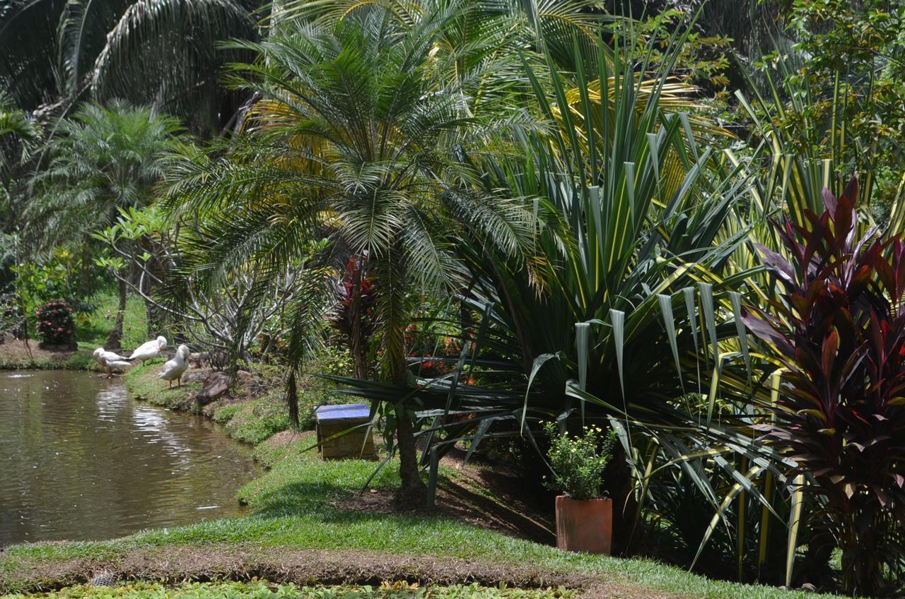 Hotel Amanwana Ecofinca Melgar Exterior foto