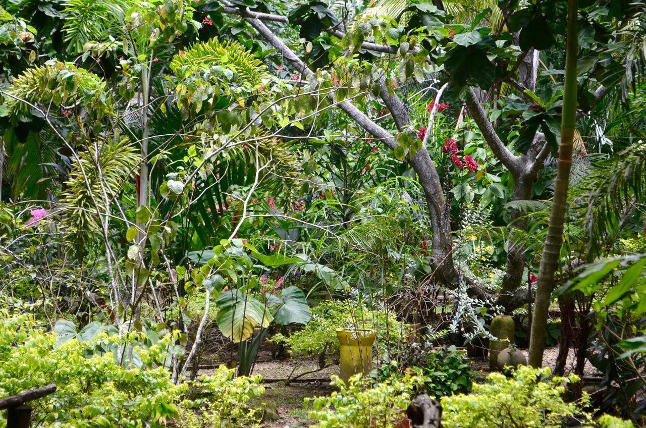 Hotel Amanwana Ecofinca Melgar Exterior foto